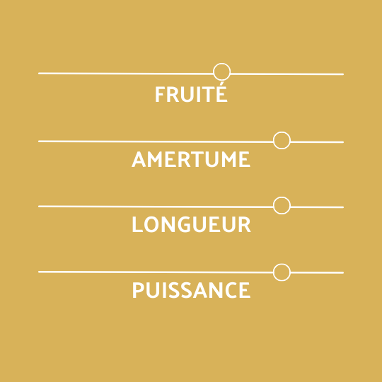 Profil coreff bière ambrée Bio