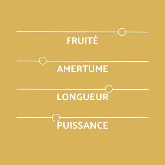 Profil Coreff bière Breiz'île Citron Vert & gingembre