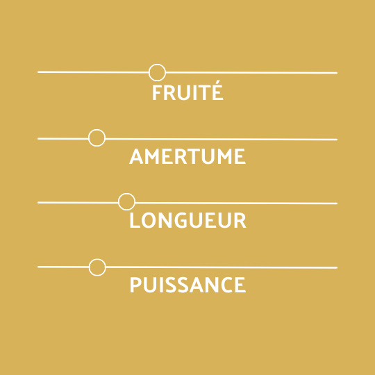 Profil coreff bière Blonde
