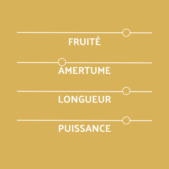 Profil coreff bière Dramm Hud
