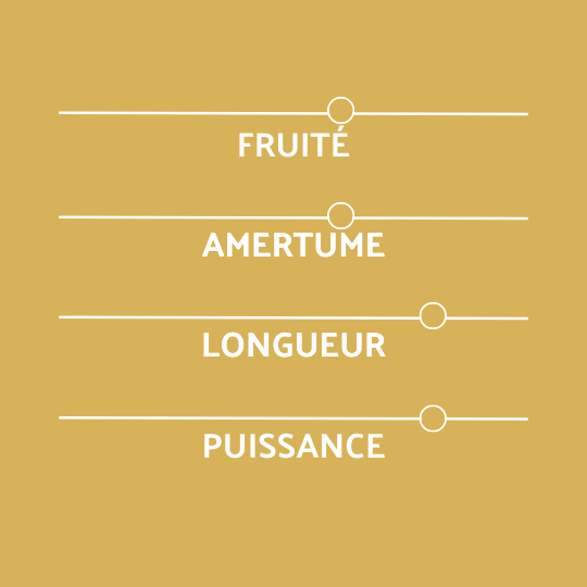 Profil Coreff bière Exca
