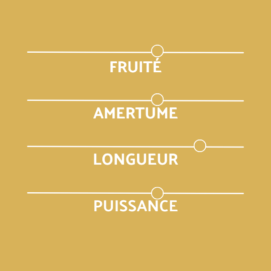Profil Coreff bière Rousse