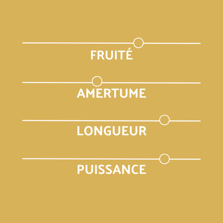 intensité, caractère de la bière des 40 ans COREFF