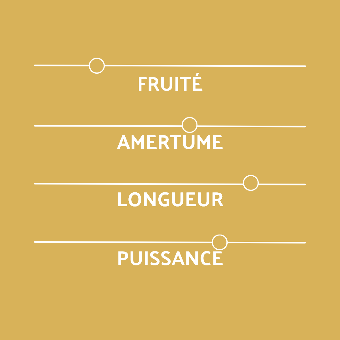 intensité, caractère de la bière des 40 ans COREFF